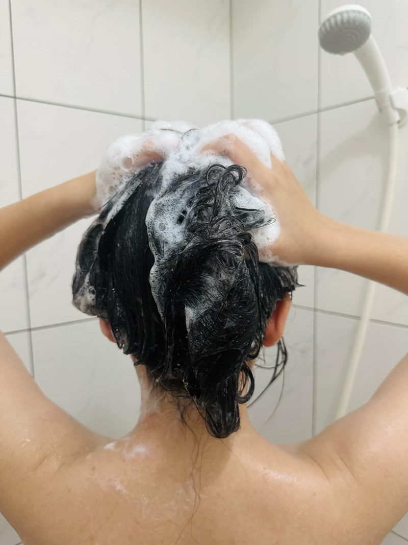 試用